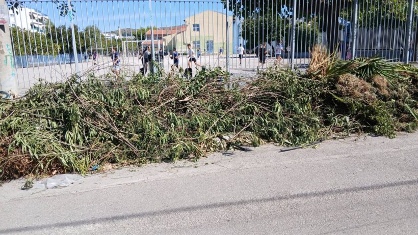 Πάτρα: ξερόκλαδα και κλαδιά έξω από δημοτικό σχολείο - φωτο