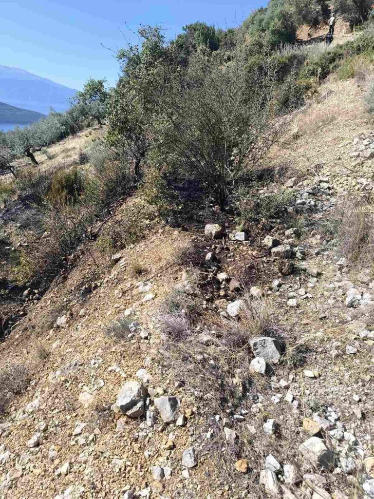 Άμεσα τέθηκε υπό έλεγχο φωτιά στην Γλυφάδα Δωρίδας - φωτο