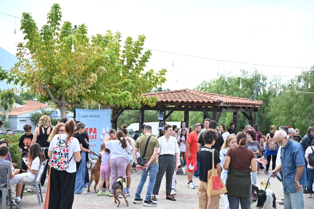 Πάτρα: η πλατεία Γηροκομειού γέμισε με σκυλάκια και γατάκια - φωτο
