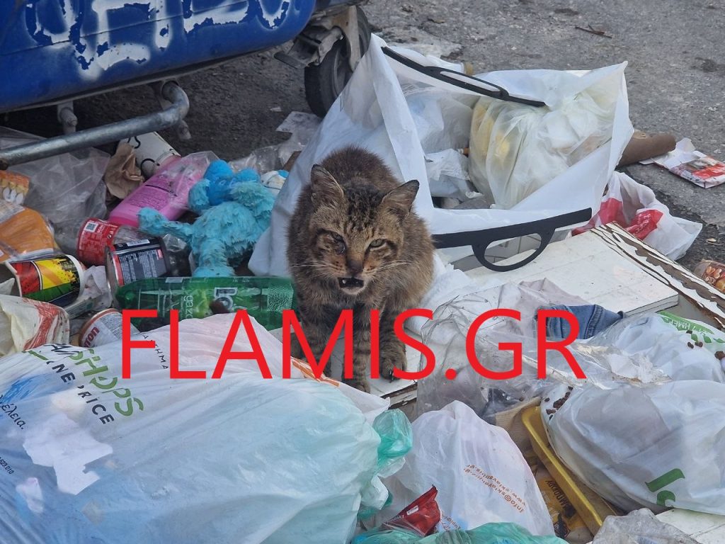 Eμετικές εικόνες με μαύρα απόβλητα και άμεσος κίνδυνος: Μόλυνση και ασθένειες… σε σκουπίδια στην Πάτρα! ΦΩΤΟ